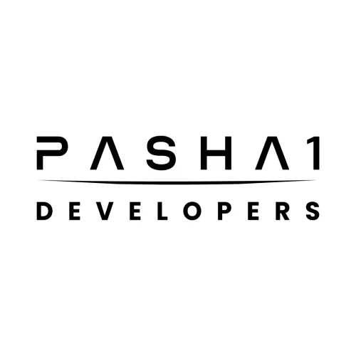 Pasha1 Developers