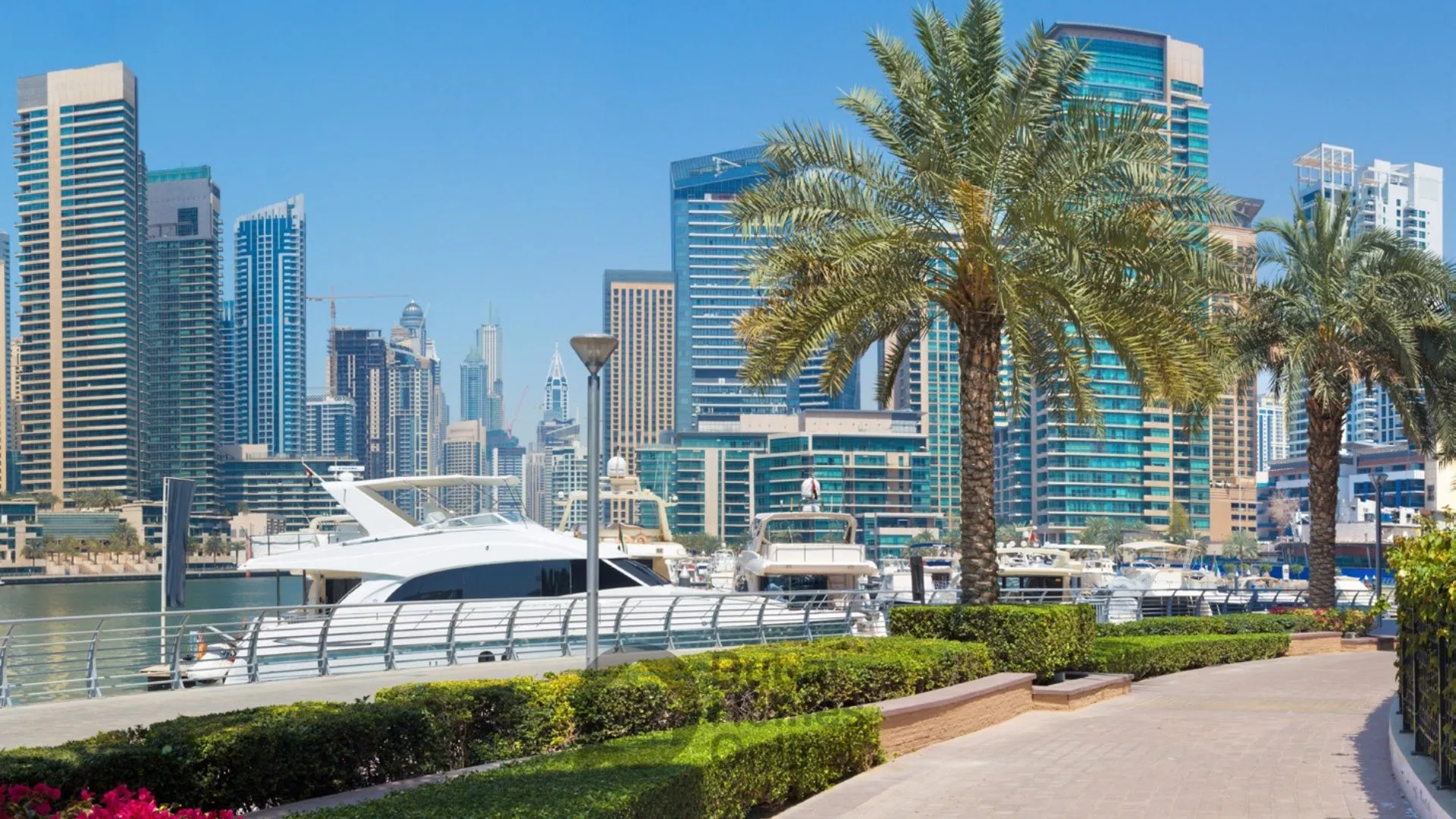 پلاگوس (Pelagos) توسط ایگو در دبی مارینا - قیمتها، طرح پرداخت و واحدها
