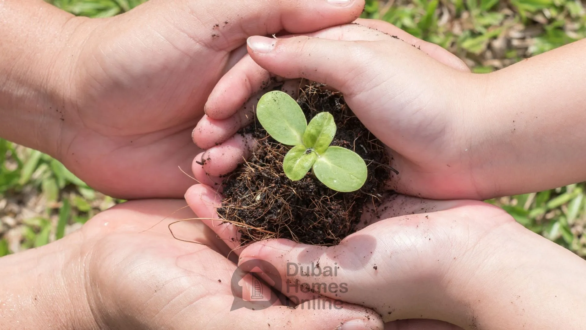 آپارتمان های ویبریج گاردنز لئوس برای فروش در منطقه دبی لند