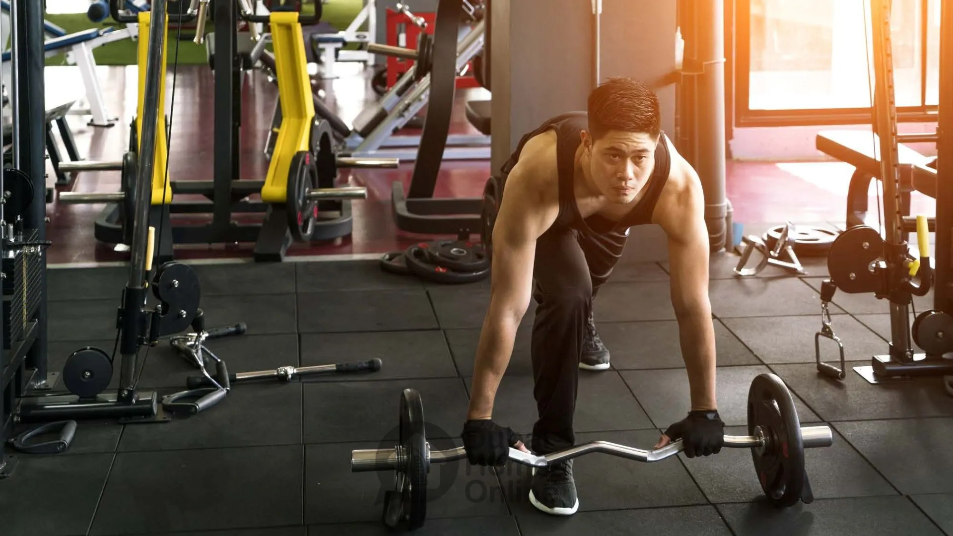 مشروع شقق ألبرو من أورو 24 للبيع في دبي لند