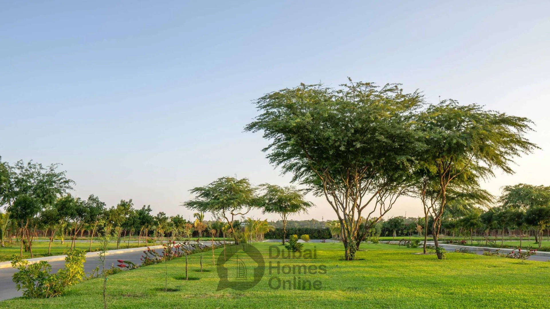 قطع أراضي فلل وقصور للبيع في أرابيان هيلز استيت دبي